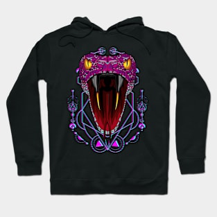 snake gifts Hoodie